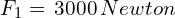 {F_{1}=\,3000\, Newton