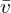 &\bar{v}