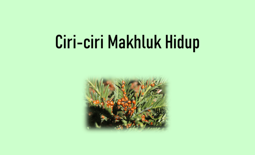 ciri ciri makhluk hidup 1