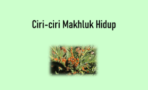 ciri ciri makhluk hidup 1