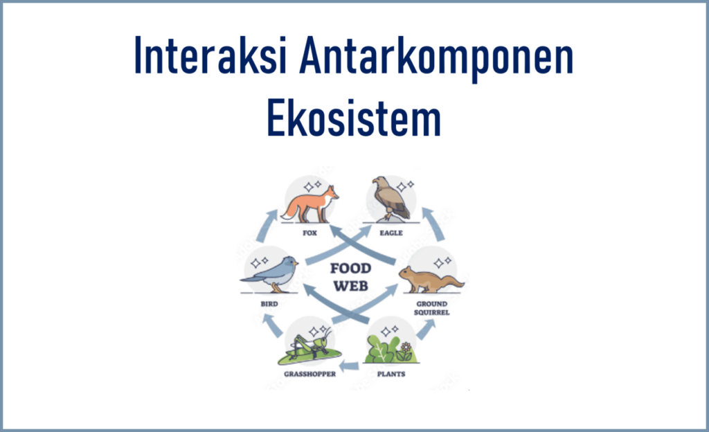 interaksi antarkomponen