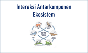interaksi antarkomponen